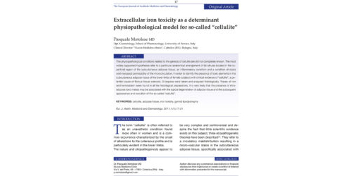 Extracellular iron toxicity as a determinant physiopathological model for so-called "cellulitie"
